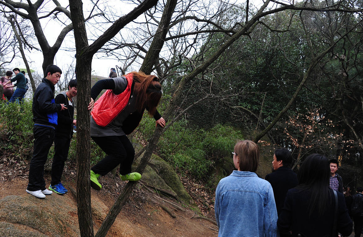 什么什么齐观成语_成语故事图片(2)