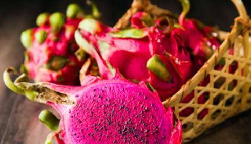 火龙果热量多少适合减肥吃吗 e3cea248b1df40f09c06131b9c233d65.jpeg