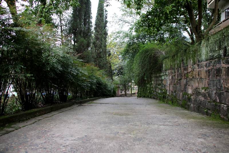 文创园|重庆三橙体育把老旧仓库变成时尚文创园！