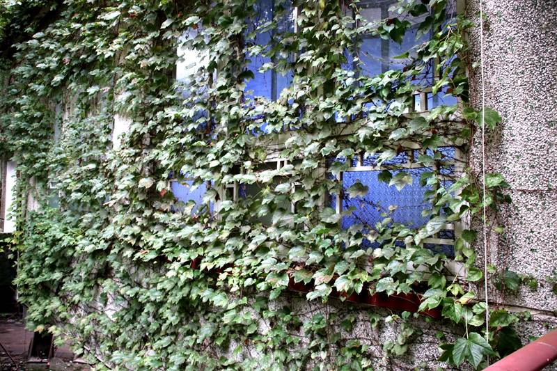 文创园|重庆三橙体育把老旧仓库变成时尚文创园！