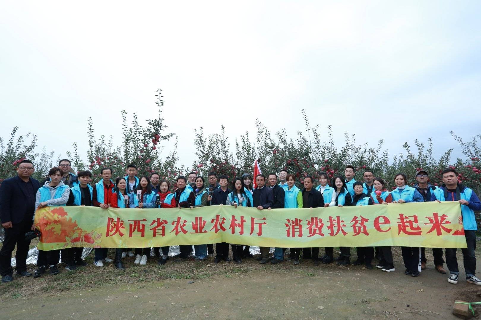 陕西农业|走进中国苹果20强县咸阳旬邑 消费扶贫e起来看马栏红苹果丰景图