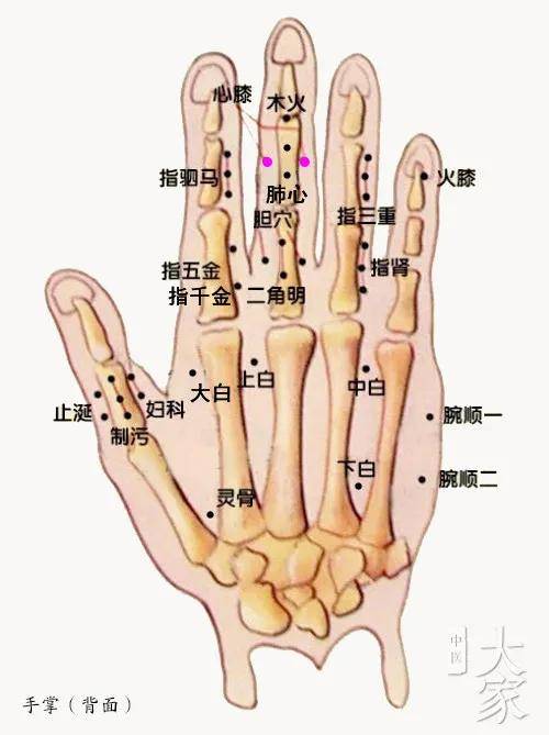 董氏穴位分享一一手指部位心膝穴中医分享仅供参考