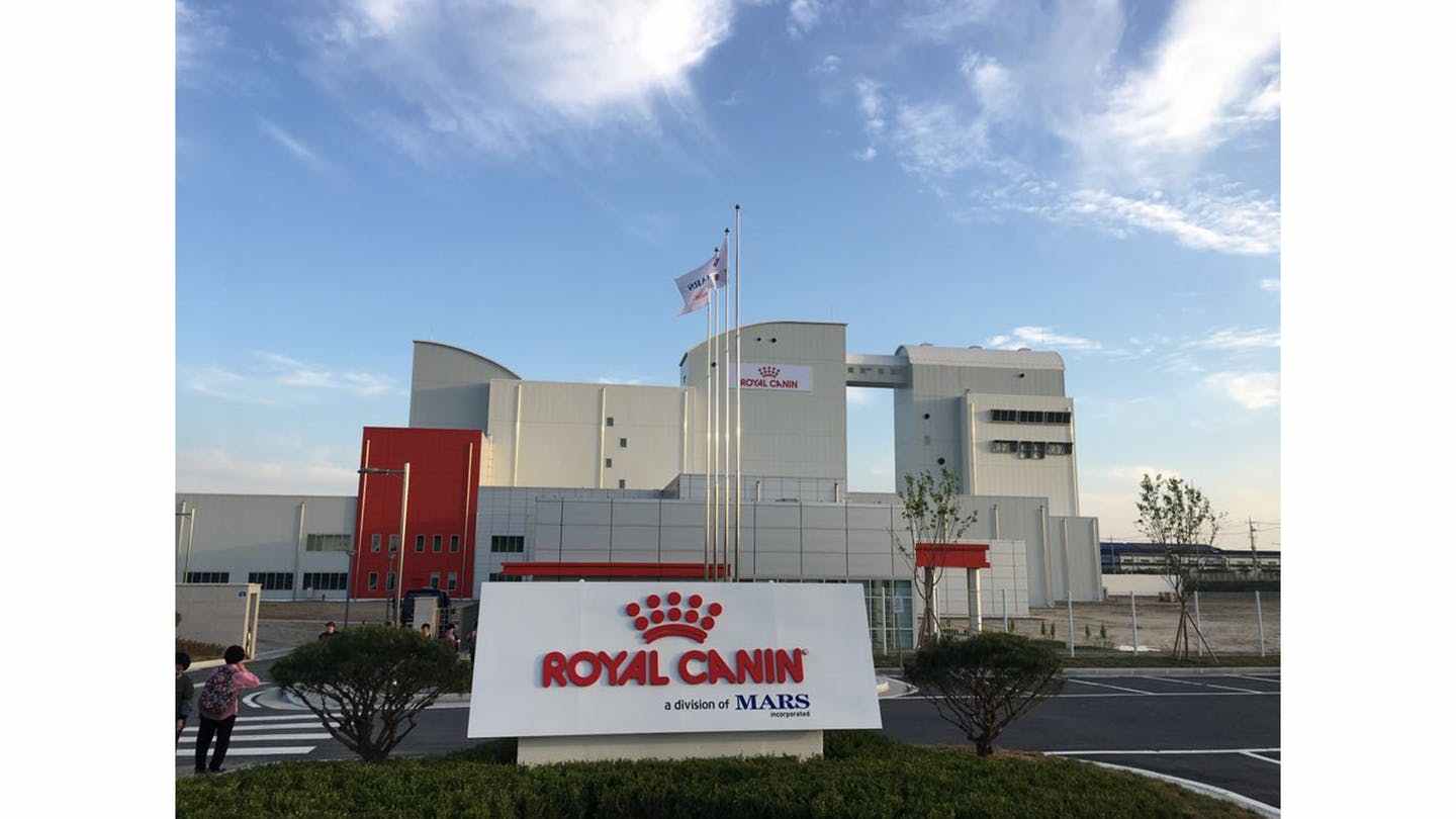 品牌|一天一个国外的猫粮狗粮品牌--欧洲第一品牌“法国皇家ROYAL CANIN”
