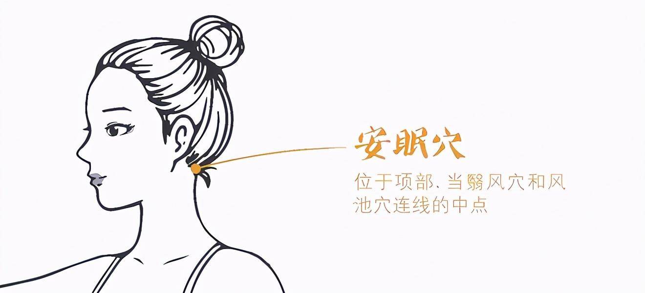 1安眠穴安眠穴是经外穴，看名字就知道它是能治疗失眠哒。它位于项部，在