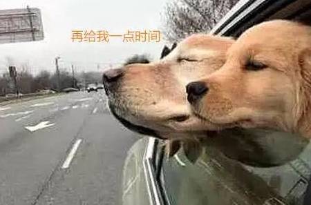 b3051887f8844694834056f0983d71b6.jpeg