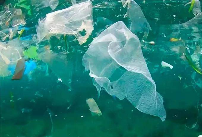 海洋之心有什么用处 c42f3e9585e0441ebb03ee7d5f7da1cb.jpeg