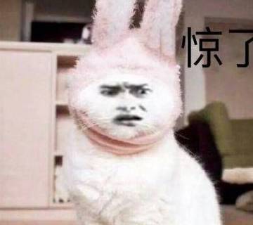 d78eb0b0df0d49279f7625ace2a622da.jpeg