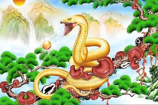 属蛇之人，生日夜梦三蛇同吞，解梦之旅的深度探索
