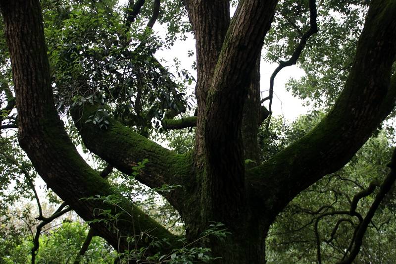 黑石山|一个具有独特的自然景观的风景区——黑石山