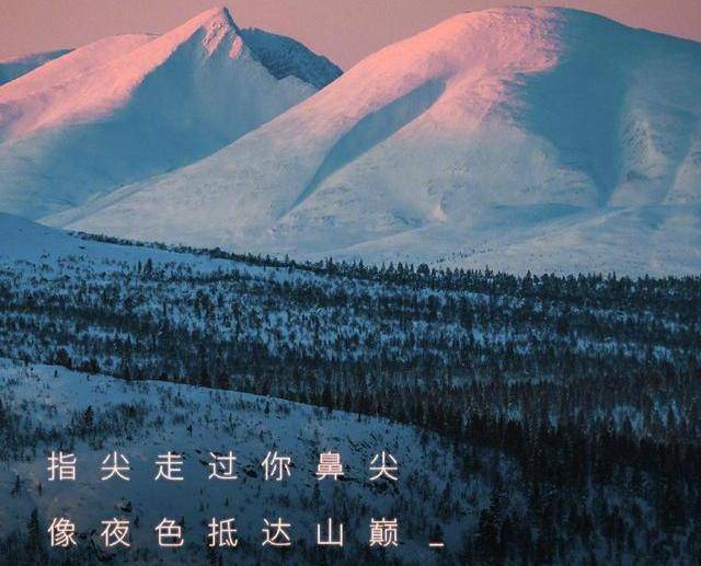 文案大佬栽了！杜蕾斯因内涵广告被罚81万，多次