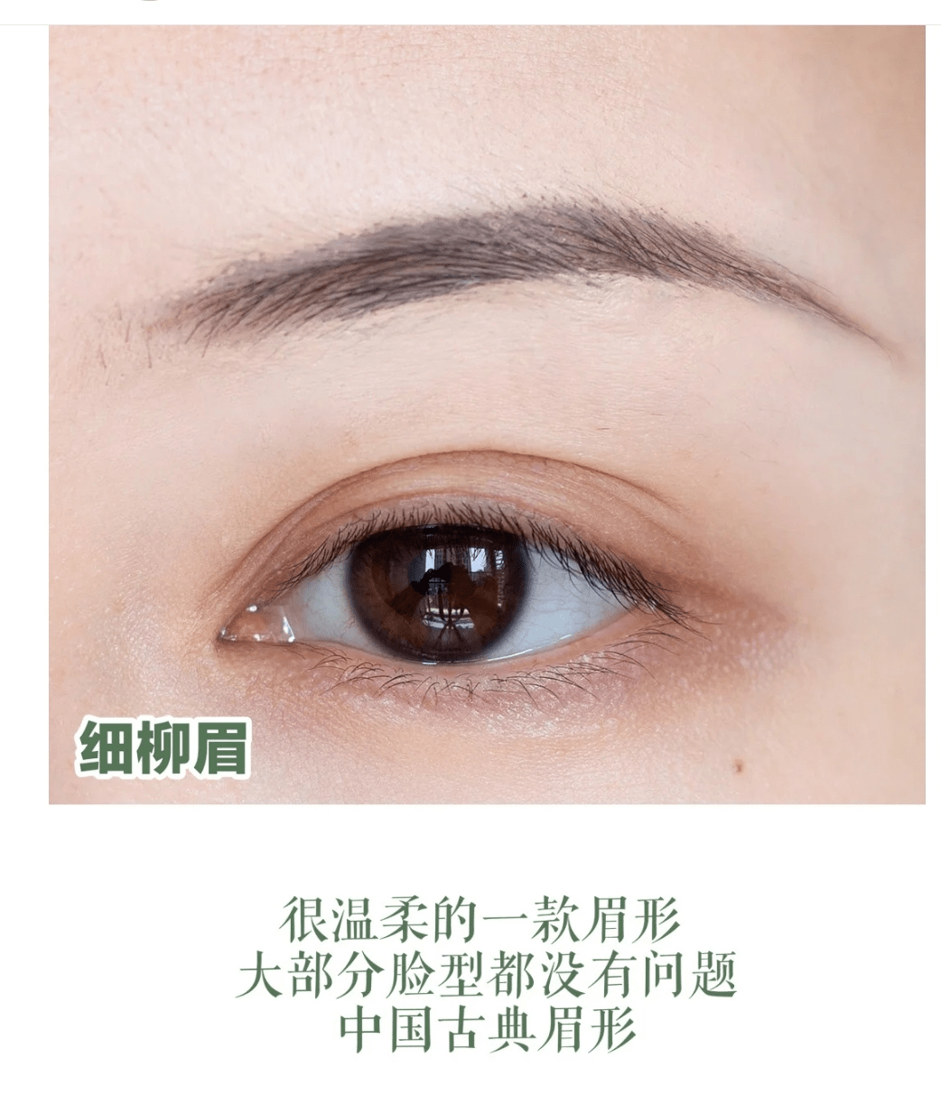 5616ac89328c414c8f1ffe6105a44743.png