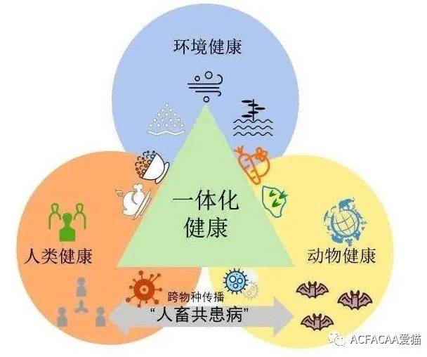 当今社会人口_人口迁移与社会发展(2)