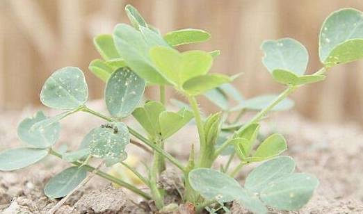 f79d0aa9cb5f4441b867918ffcb555c7.jpeg
