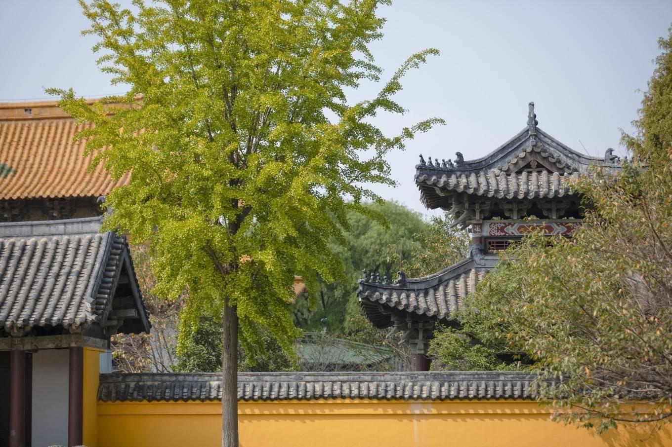 时期|梦回北宋，穿越无锡水浒城，这里是央视水浒传的拍摄地