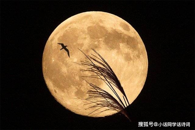 月亮代表我的心:李白诗歌中的月亮浪漫唯美,很有意境