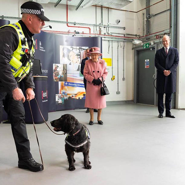 女王|94岁英女王为了美好拼！光腿穿粉衣不怕冷，小腿全是淤青咋回事？