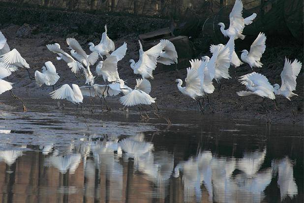 宁海人均gdp_宁海汤包图片(3)