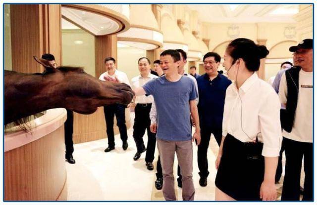 叫嚣干掉优衣库，90亿库存没人要，花16亿去养马