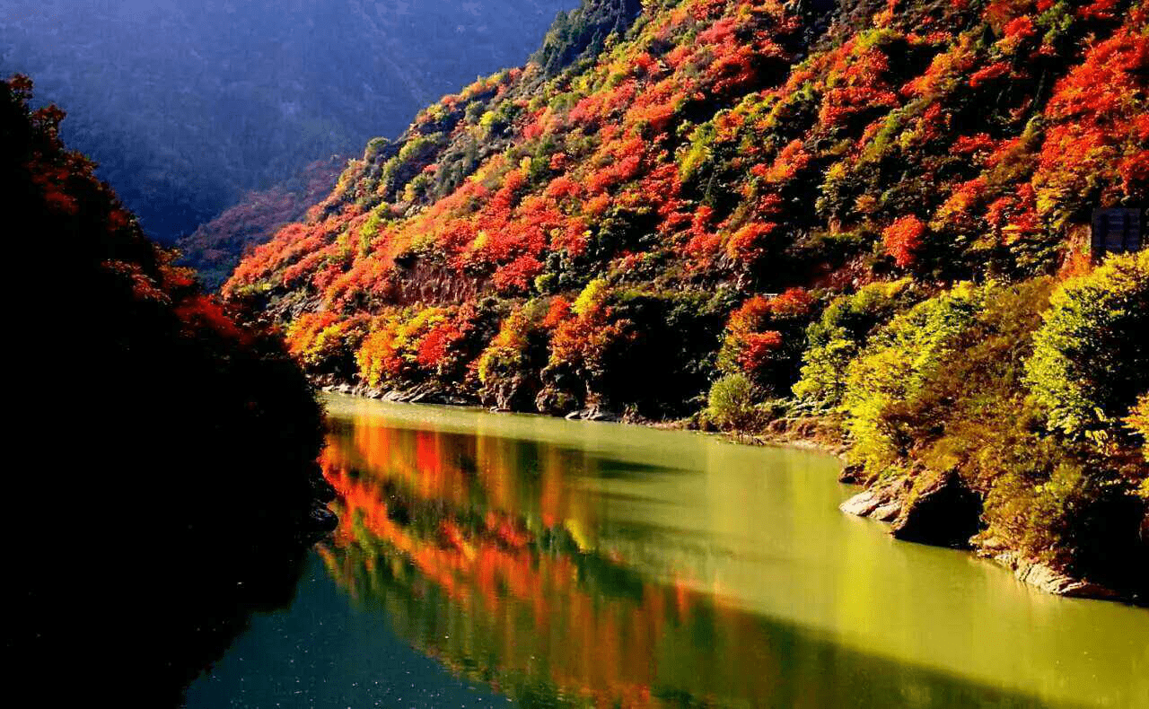 宝鸡凤县灵官峡景区红叶观赏节开幕 金秋赏红叶最佳打卡地|宝鸡凤县灵官峡景区红叶观赏节开幕 金秋赏红叶最佳打卡地