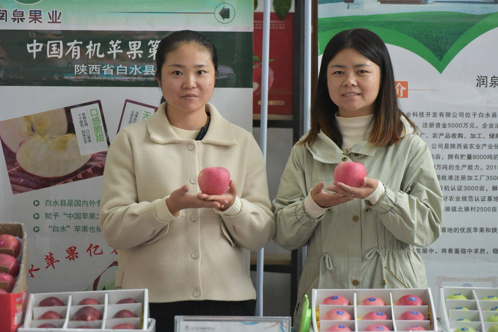 魅力|金秋送爽魅力果乡，白水苹果亿万人民的口福!