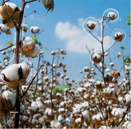 秘鲁|秘鲁时尚与装饰展，领略拉美风情