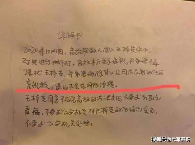王梓艾发文否认插足，曾出演《甄嬛传》，如今