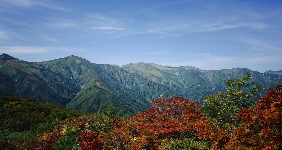 2021冷年空调市场怎么干？这条路绕不开！-家电圈官网