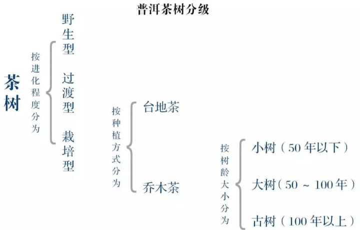 aad3cbe275d9497e86c753bfa2b8dcc0.png