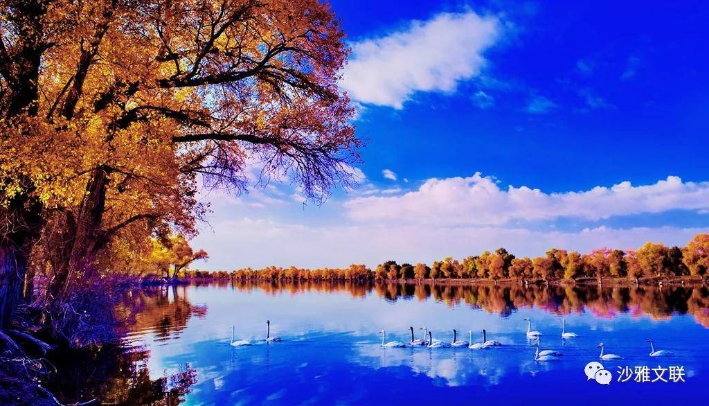 活动|沙雅十六万元摄影大奖等您拿!