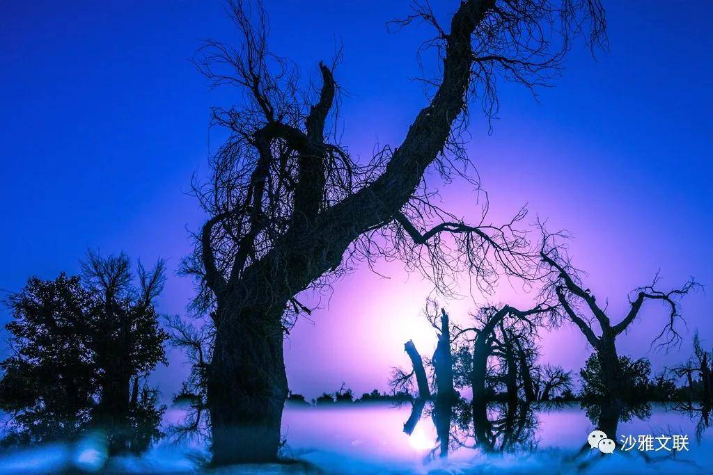 活动|沙雅十六万元摄影大奖等您拿!