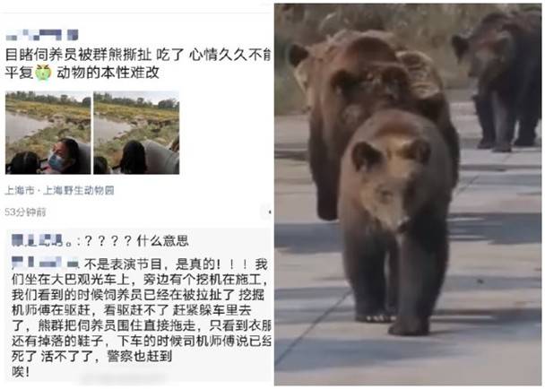上海动物园饲养员被熊群攻击身亡,该园猛兽区已暂停开放