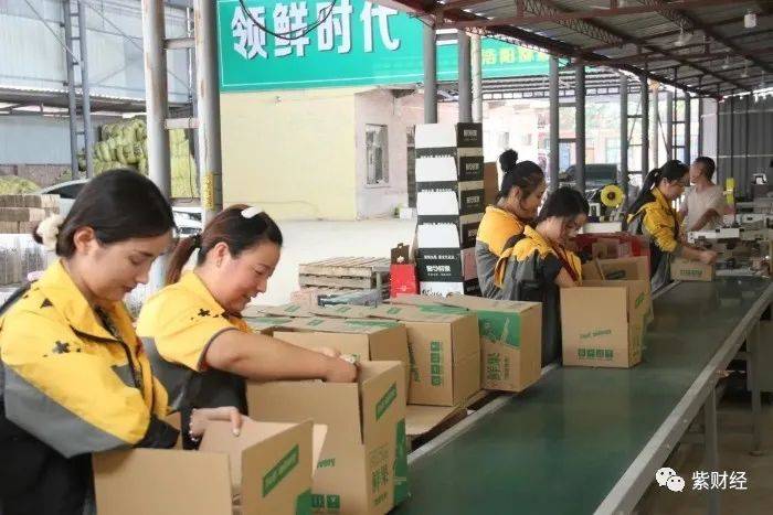 观点评论|快递巨头的消亡：罢工频发，菜鸟釜底抽薪，丧失最后一公里控制权