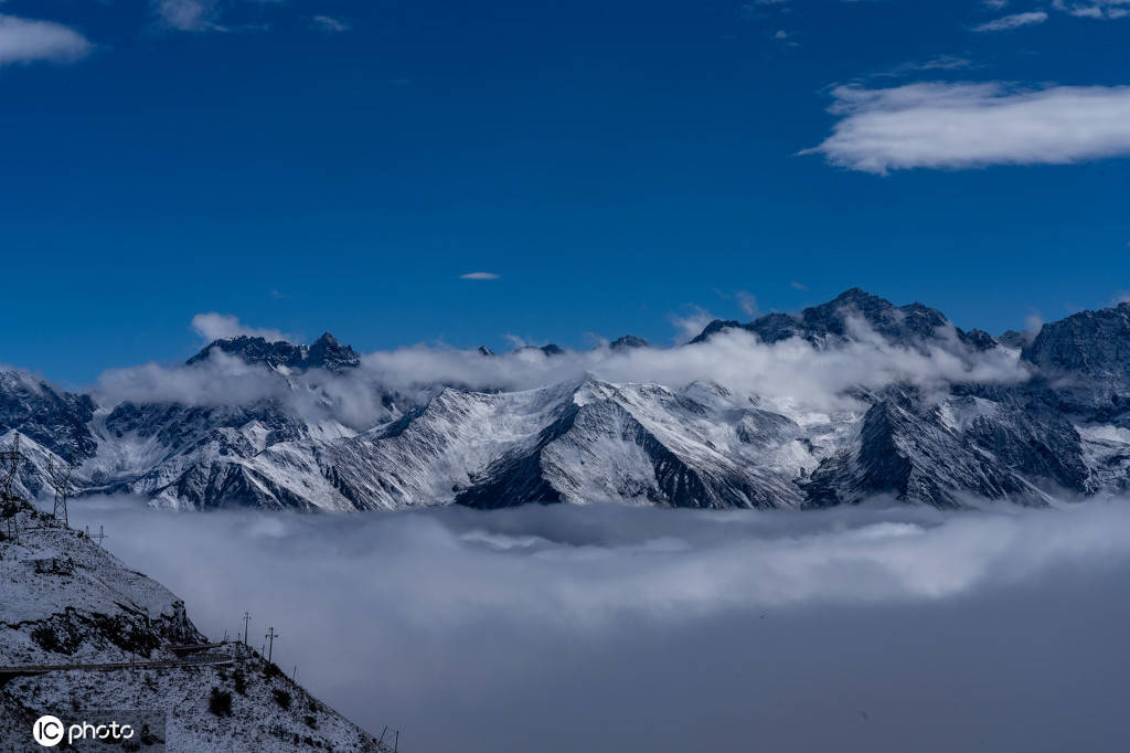 四川卧龙巴朗山雪后风光美如画