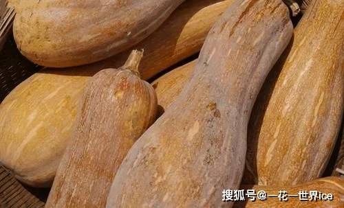 怎么晒南瓜干好吃又简单 4b41816a734843bfa55d726b6459f5dc.jpeg
