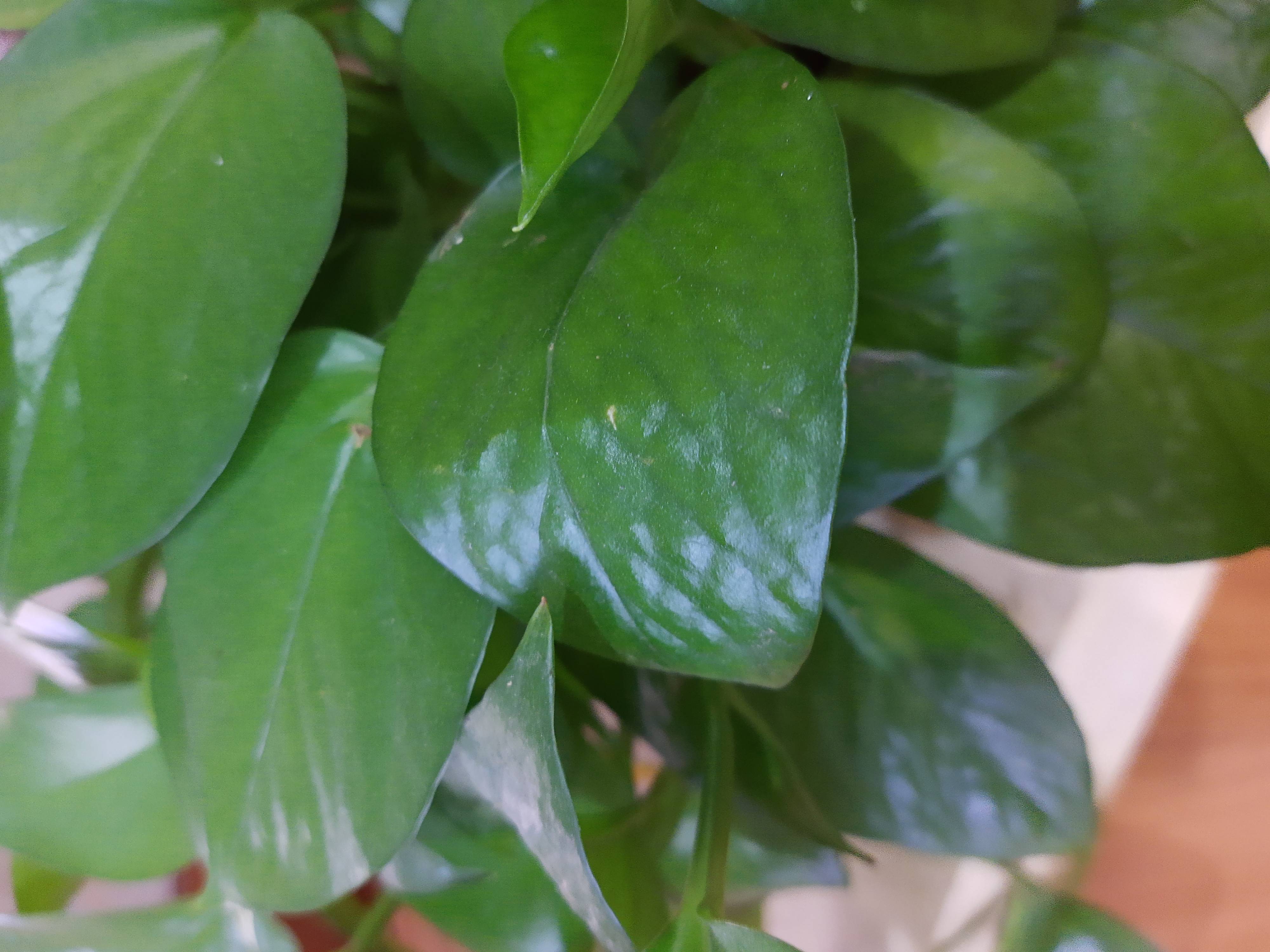 教育|曾军良：教师的十佳心态