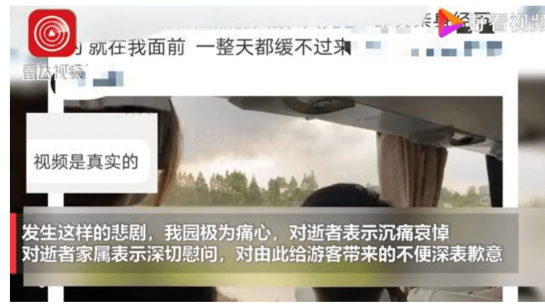 上海野生动物园熊伤人疑似现场曝光 游客目睹饲养员被熊群攻击身亡