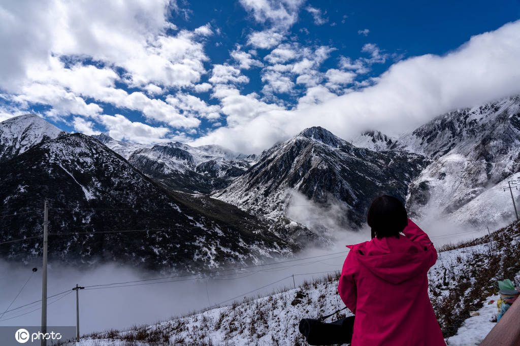 四川卧龙巴朗山雪后风光美如画