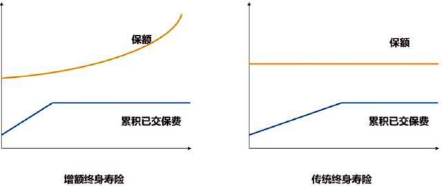 账户|保险三巨头的开门红产品，哪个值得买？