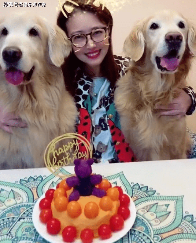 少女|原创53岁周海媚为爱犬庆生，皮肤紧致状似少女，网友在线催生遭其反怼