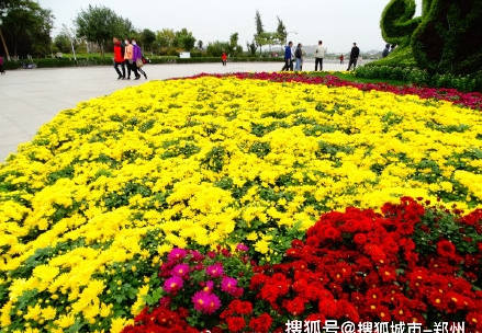 第38届中国开封菊花文化节开幕 历时1个月将于11月18日闭幕