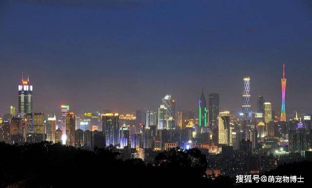 2020中国摩天楼数量_2020年摩天大楼最多的十大城市:中国上榜数量让世界