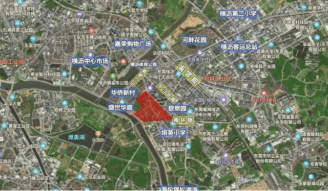 广西平南丹竹镇2019经济总量_广西平南丹竹镇街图片