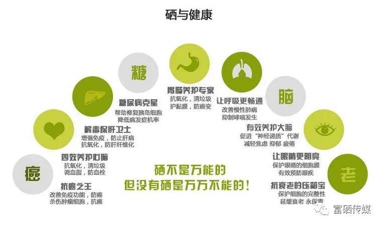 胰岛素是哪一年合成的 b1718642f9bb49419fb7ac705f6ae24f.jpeg