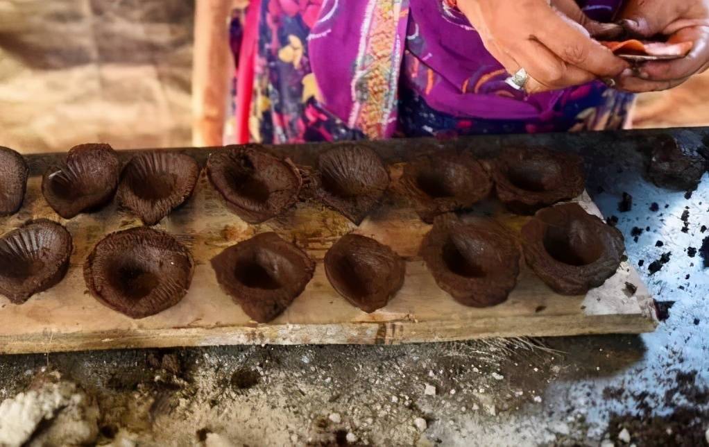 印度官方发明的牛粪芯片，那味儿实在太冲了