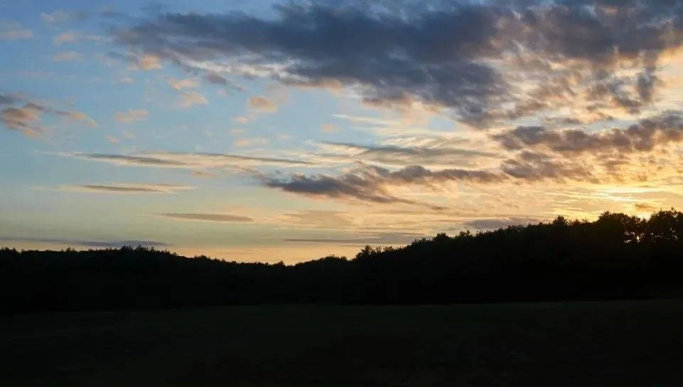 帅丰电器抢到集成灶主板上市第一,却无法揭盖产业迷茫-家电圈官网