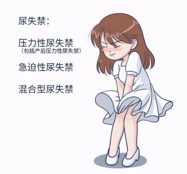 咳嗽或大笑时漏尿就是典型的盆底肌受损,常见于产后妈妈及中老年女性.