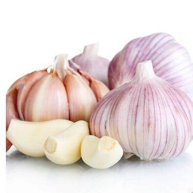 现在能种香葱和大葱吗 1bd97c38c4e7436eb1b6f8dbf5e64719.jpeg