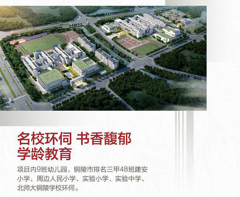 铜陵武汉人口_铜陵学院(3)