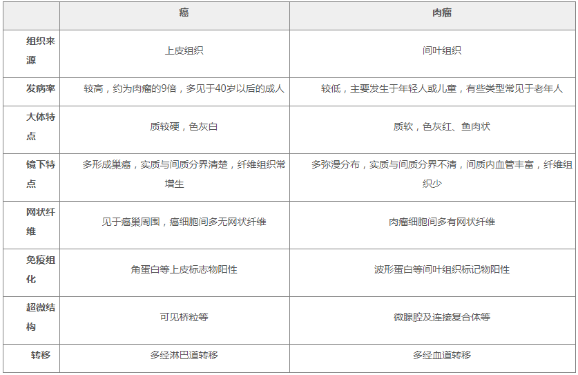 癌与肉瘤的区别