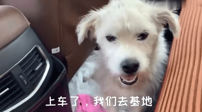 85cc24a1850343958ff3f78fcbe07fd2.png
